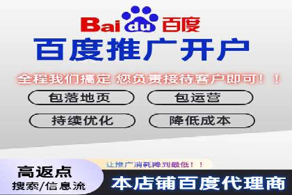 百度竞价排名案例分析：提升网站流量与转化率