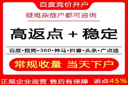 SEO与百度推广结合的营销策略——经典案例解析